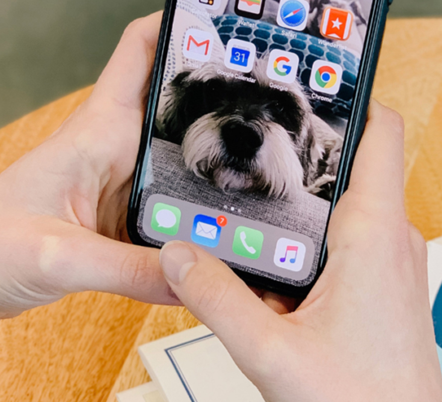 Person's hands holding a smartphone